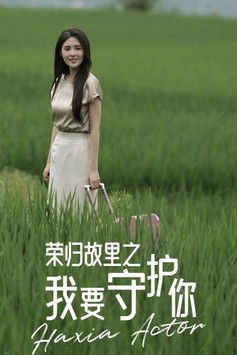 荣归故里之我要守护你 poster