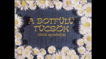 Episodio 9 — Episodio 9