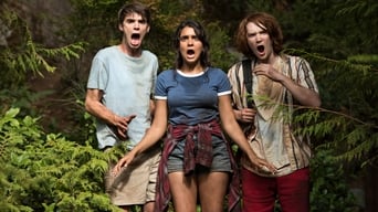 Galeria 4 - El paquete