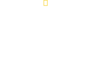 World's Most Dangerous Shark? logo
