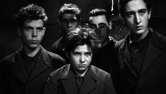 #4 Чистильники взуття