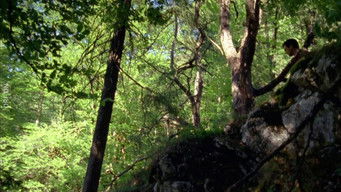 Aflevering 3 — Episode 3