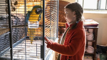 Kommt ein Vogel geflogen (2023)