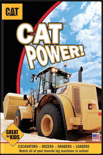 Cat Power galeri 1