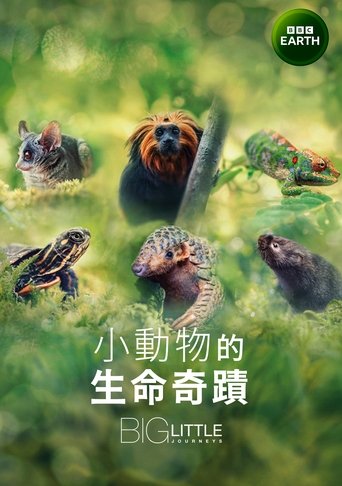 大大小小的旅行