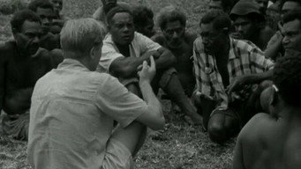 Cargo Cult