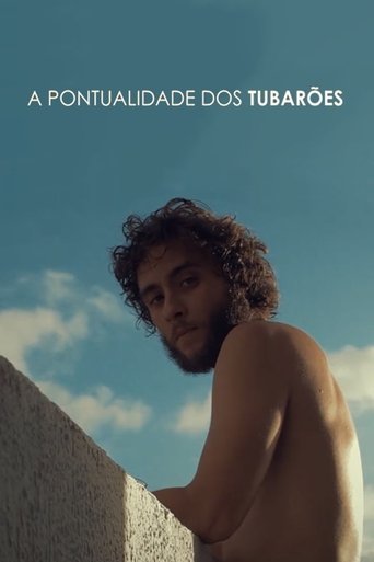A Pontualidade dos Tubarões