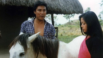The Grey Mare (1994)