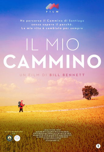 Il mio cammino