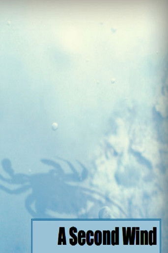 A Second Wind poster