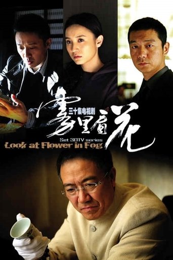 雾里看花 2009