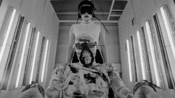 Любов до гуми (1996)