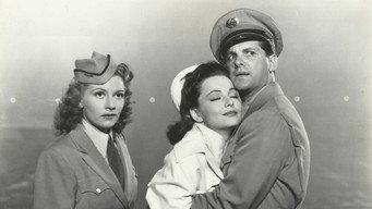 Princess O'Rourke (1943)
