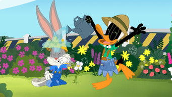 Bugs Bunny Builders