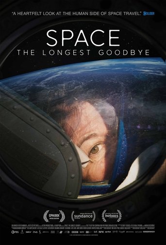 The Longest Goodbye poster