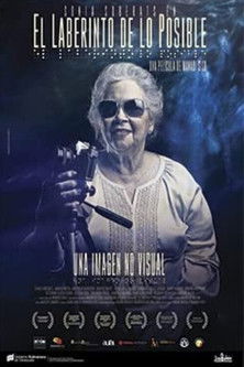 El laberinto de lo posible (2012)