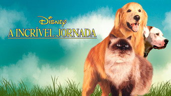 Still 3 from Homeward Bound: The Incredible Journey