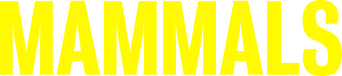 Mammals logo