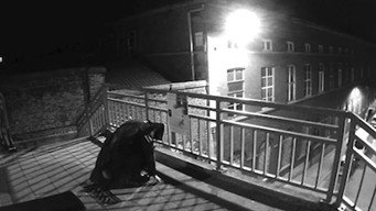 The Nightstalker Case (2018)