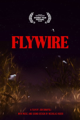 Flywire galeri 2