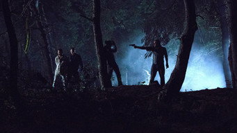 #4 Під прикриттям