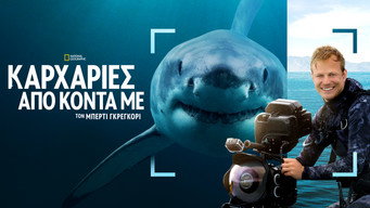 #15 Sharks Up Close with Bertie Gregory