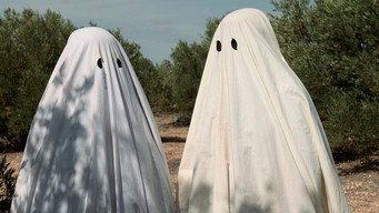 #5 Still Life with Ghosts