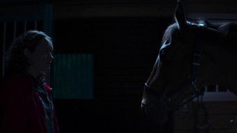 Galeria 3 - Purasangre