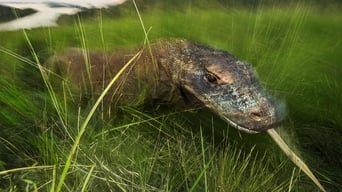 Dragons Alive - S1E01