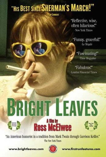Affiche de La Splendeur des McElwee
