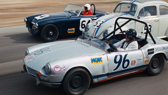 #29 The Love Bug