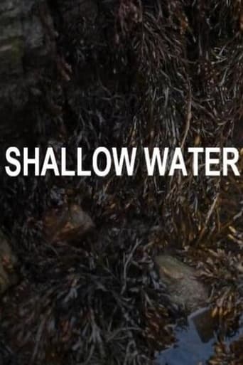 Poster of Shallow Water