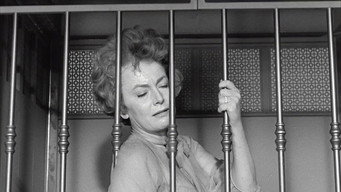 #17 Lady in a Cage