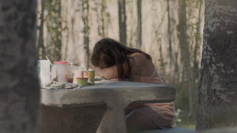 Camping (2019)