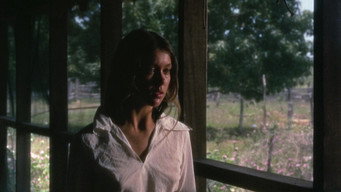 #47 Walkabout
