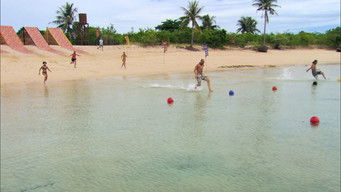 Survivor S25E13 poster