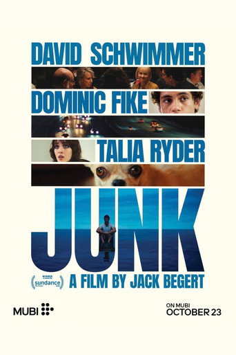 Junk poster