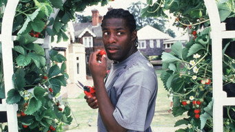 #5 Greenfingers