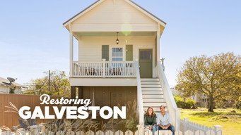 #8 Restoring Galveston