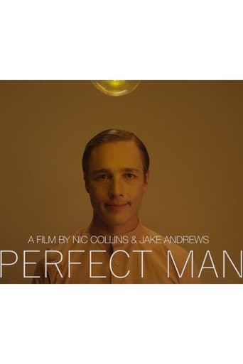 Poster of Perfect Man