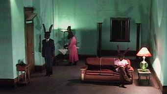 Rabbits media image