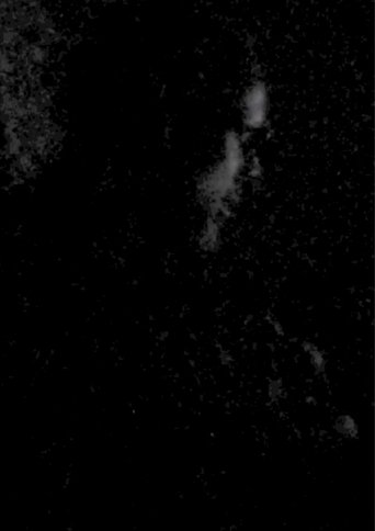 O Início de Uma Flor a Morrer poster