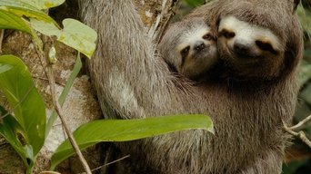 Colombia - Wild and Free - S1E01