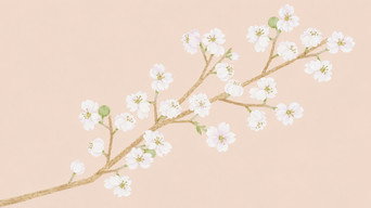 Blossom (2026- )