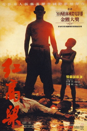 Poster 17