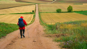 The Way, My Way (2024)