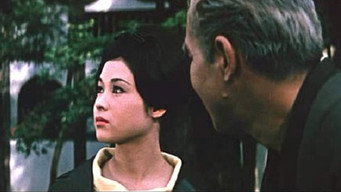 Щоденник божевільного старого (1962)