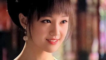 凰图腾 media image