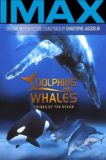 Delfines y ballenas - Tribus del océano