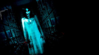 Paranormal Asylum (2013)